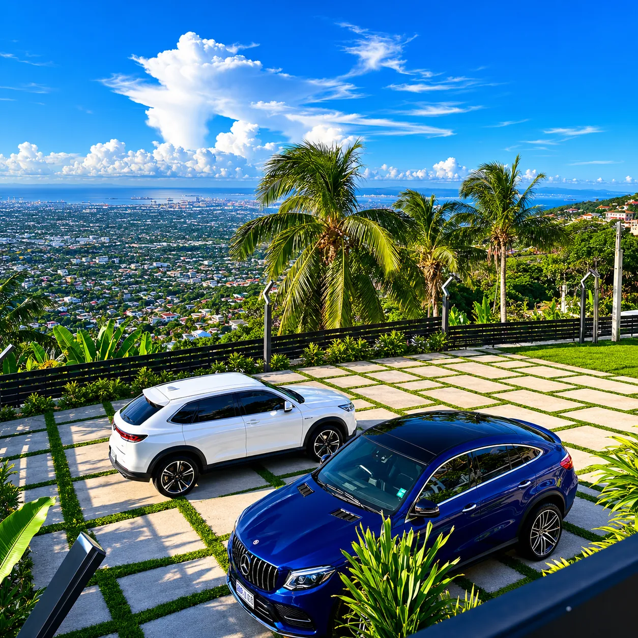 Two freshly detailed Mercedes overlooking Kingston from a hilltop